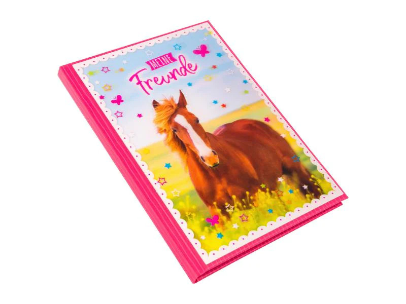 Goldbuch Freundebuch Pferdeliebe
