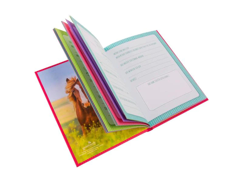 Goldbuch Freundebuch Pferdeliebe
