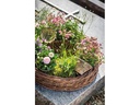 Opiflor Pflanzentopf mit Harzoptik Braun/Terracotta