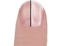 Trisa Perfect Nails Ersatzrollen