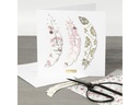 Creativ Company Blankokarte 15 x 15 cm 50 Sets, Beige