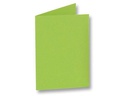 Folia Blankokarte 220 g/m2 rechteckig Hellgrün