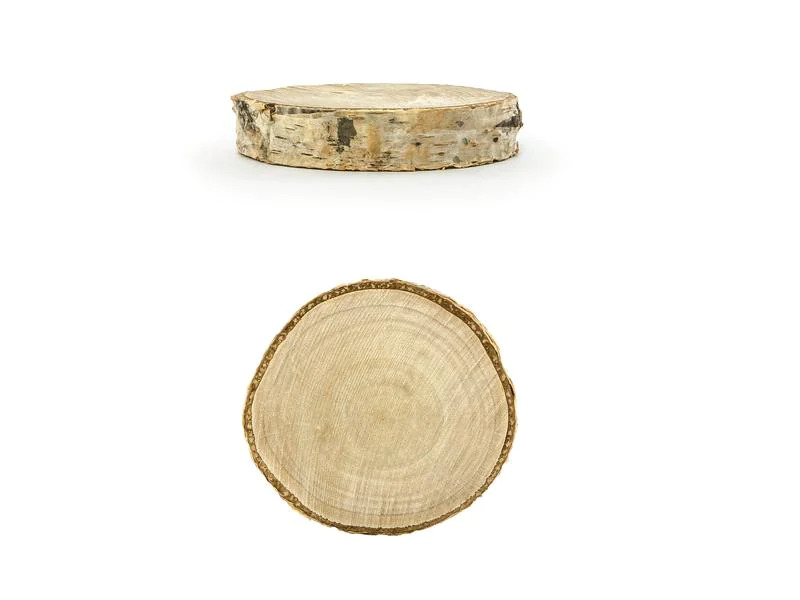 Partydeco Tischkarte Holzscheibe Ø 4.5-6.5 cm, H: 1 cm, 6 Stück, braun
