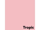 Antalis Kopierpapier Image Coloraction A4, Hellrosa, 500 Blatt