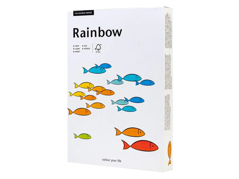 Scaldia Kopierpapier Rainbow 120 g/m² A4, Hellgrau