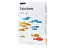 Scaldia Kopierpapier Rainbow 120 g/m² A4, Hellgrau