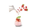 Moulinex Joghurtmaker Yogourteo 1120 ml