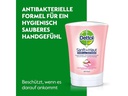 Dettol Handseife No-Touch Nachfüller Sheabutter &amp; Rosenblüte 250 ml