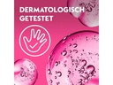 Dettol No-Touch Seifenspender inkl Nachfüller Gardenberries 250 ml