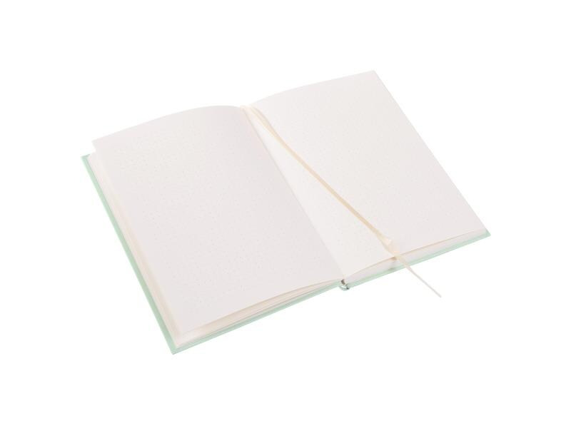 Goldbuch Notizbuch Plan B A5, Dot, Grün