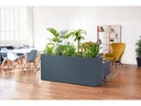 Herstera Pflanzentrog Divider Planter 40, 100 x 40 x 80 cm, Anthrazit