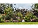 Bosch Akku-Gartenpumpe GardenPump 18 V-2000 Solo