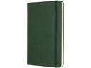 Moleskine Notizbuch Classic A5 Blanko, Grün, 240 Seiten