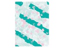 Nuuna Notizbuch Colour Clash L Light Celebration, Dot