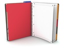 Oxford Notizbuch International Managerbook, A4 +, Liniert, Grau