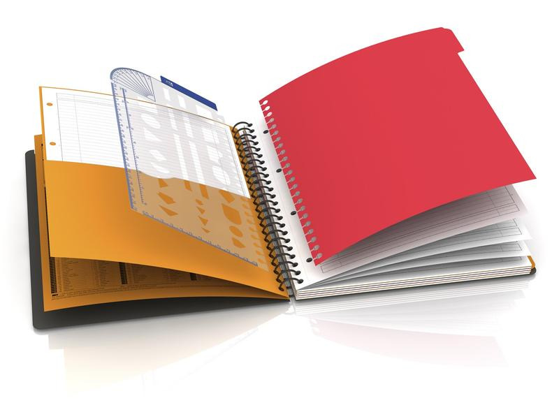 Oxford Notizbuch International Managerbook, A4 +, Liniert, Grau
