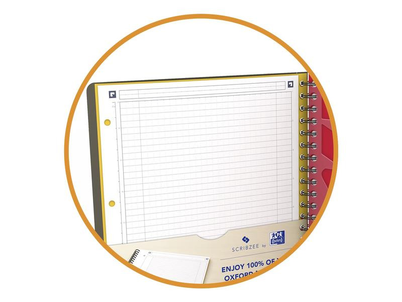 Oxford Notizbuch International Managerbook, A4 +, Liniert, Grau