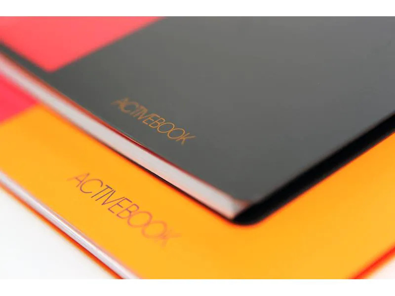 Oxford Notizheft International Activebook, A4 +, Kariert, Grau