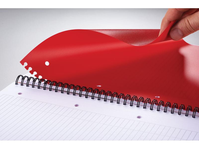Oxford Notizheft International Activebook, A4 +, Kariert, Grau