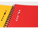 Oxford Notizheft International Activebook, A5 +, Kariert, Grau