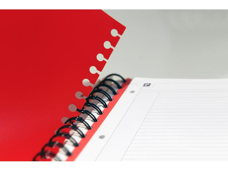 Oxford Notizheft International Filingbook, A4 +, Kariert, Grau