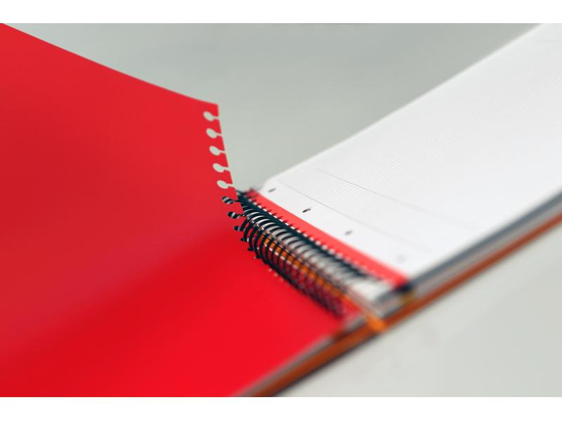 Oxford Notizheft International Filingbook, A4 +, Kariert, Grau