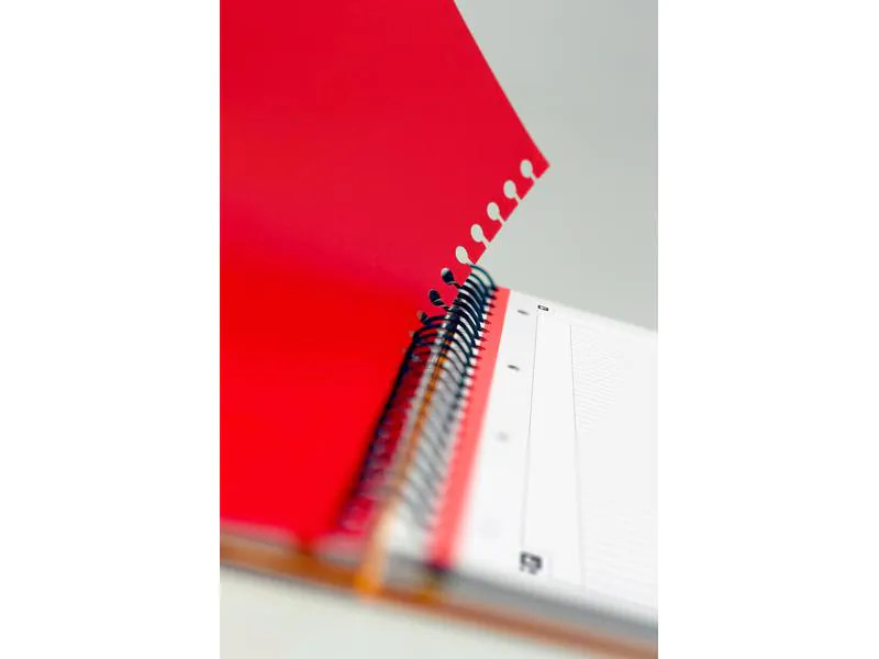 Oxford Notizheft International Filingbook, A4 +, Kariert, Grau