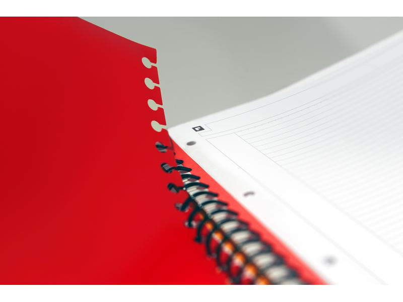 Oxford Notizheft International Filingbook, A4 +, Kariert, Grau