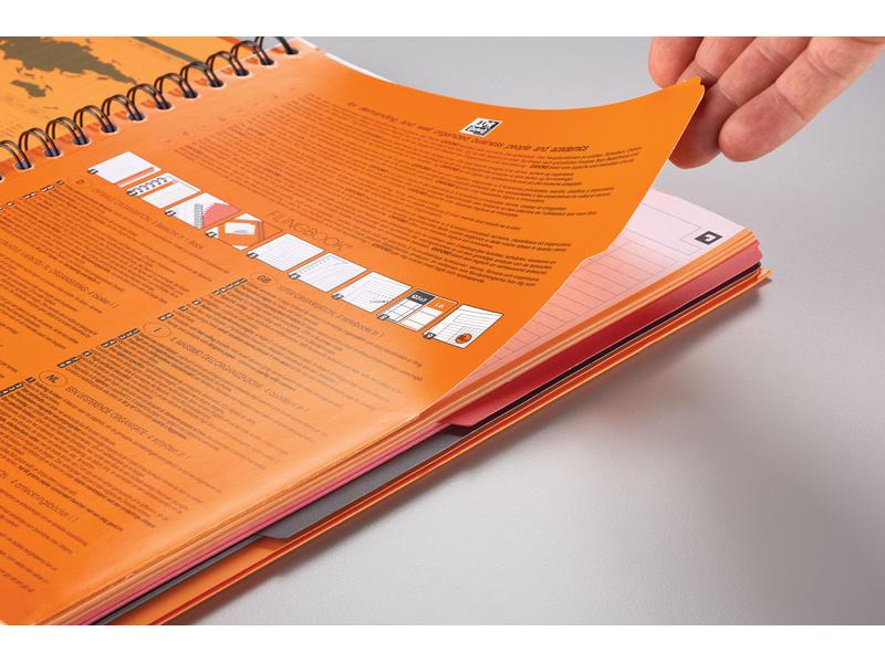 Oxford Notizheft International Filingbook, A4 +, Kariert, Grau