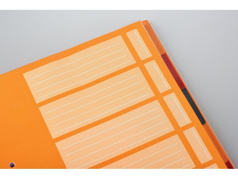 Oxford Notizheft International Organiserbook, A4 +, Kariert, Grau