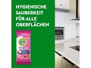 Dettol Allzweckreiniger Granatapfel Tücher 60 Stück