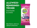 Dettol Allzweckreiniger Granatapfel Tücher 60 Stück