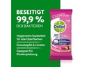 Dettol Allzweckreiniger Granatapfel Tücher 60 Stück
