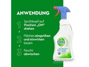 Dettol Allzweckreiniger Limette &amp; Minze 750 ml