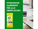 Dettol Allzweckreiniger Tücher Limette &amp; Minze 60 Stück