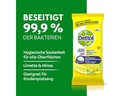 Dettol Allzweckreiniger Tücher Limette &amp; Minze 60 Stück