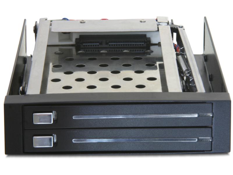 Delock Wechselrahmen 3,5 Mobile Rack für 2x 2.5