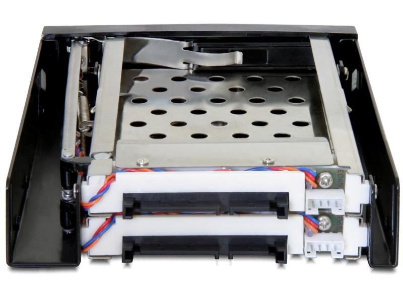Delock Wechselrahmen 3,5 Mobile Rack für 2x 2.5