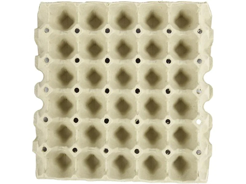 Creativ Company Papp-Schachtel Eier 29 x 29 x 4 cm 20 Stück