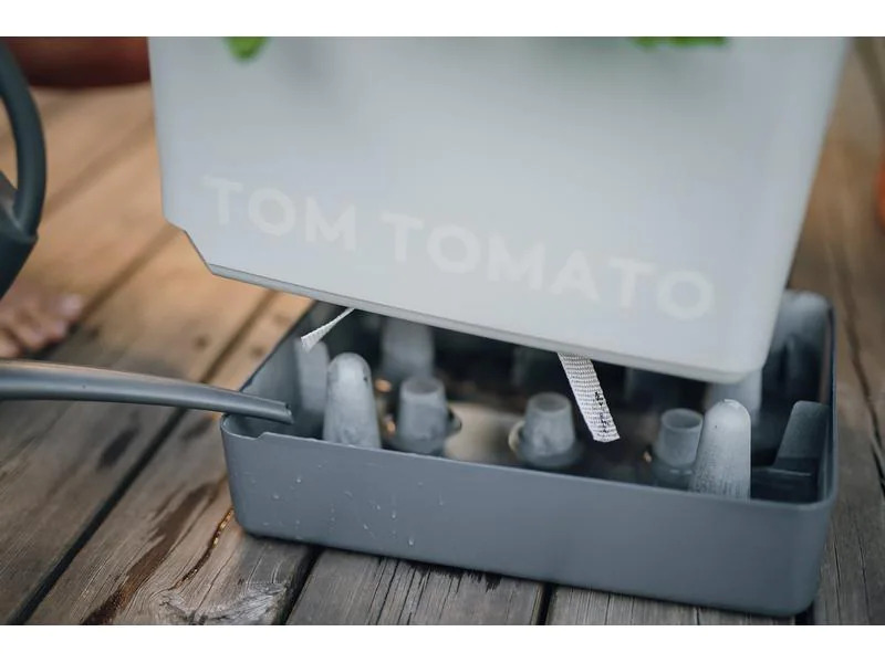 Gusta Garden Anzuchtset TOM TOMATO Starterset, Dunkelgrün