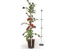 Gusta Garden Anzuchtset TOMATO BUDDY Starter