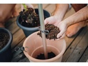 Gusta Garden Anzuchtset TOMATO BUDDY Starter