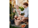Gusta Garden Anzuchtset TOMATO BUDDY Starter