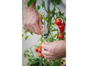 Gusta Garden Anzuchtset TOMATO BUDDY Starter, 3er Set