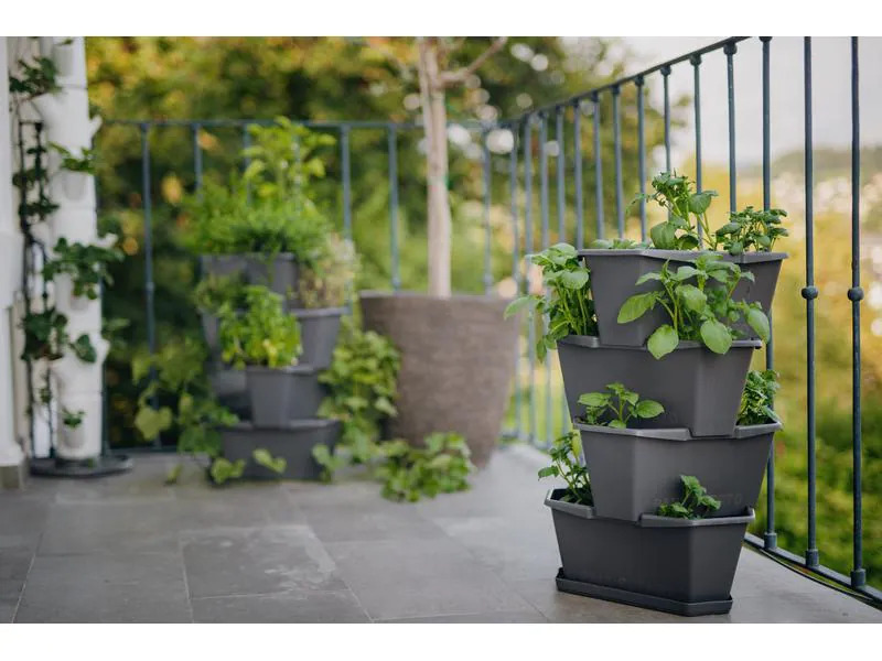 Gusta Garden Aufzuchttöpfe PAUL POTATO Starter, 4 Etagen, Anthrazit