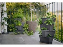 Gusta Garden Aufzuchttöpfe PAUL POTATO Starter, 4 Etagen, Anthrazit
