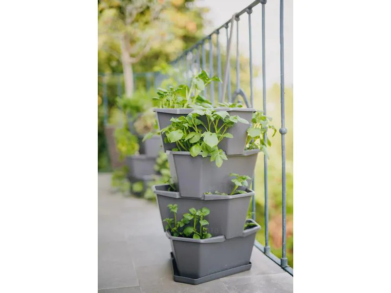 Gusta Garden Aufzuchttöpfe PAUL POTATO Starter, 4 Etagen, Anthrazit
