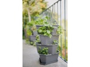 Gusta Garden Aufzuchttöpfe PAUL POTATO Starter, 4 Etagen, Anthrazit