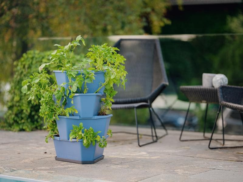Gusta Garden Aufzuchttöpfe PAUL POTATO Starter, 4 Etagen, Blaugrau