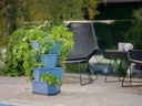 Gusta Garden Aufzuchttöpfe PAUL POTATO Starter, 4 Etagen, Blaugrau